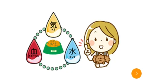 薬膳手作りドッグフード